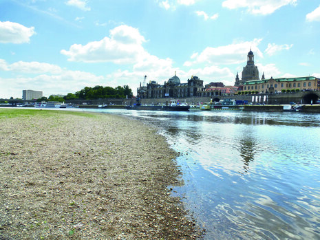 Das Foto zeigt die Elbe bei Niedrigwasser.