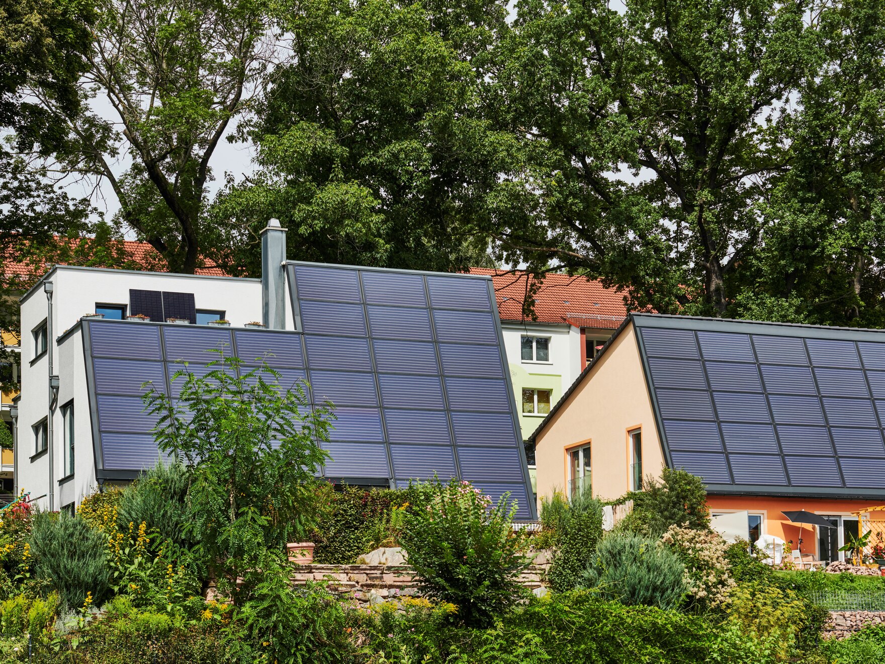 Foto von Einfamilienhäusern mit Solarpanelen auf den Dächern. Davor sieht man einen Garten, dahinter stehen Bäume.