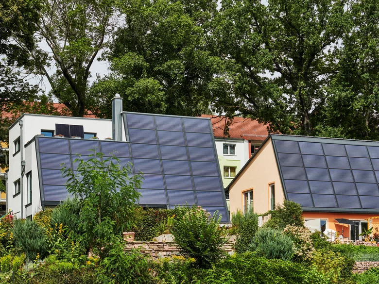 Foto von Einfamilienhäusern mit Solarpanelen auf den Dächern. Davor sieht man einen Garten, dahinter stehen Bäume.